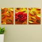 Set Of 3 Wall Art Wooden