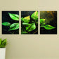 Set Of 3 Wall Art Wooden
