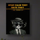 Stay Calm They Hate That” Framed Wall Art